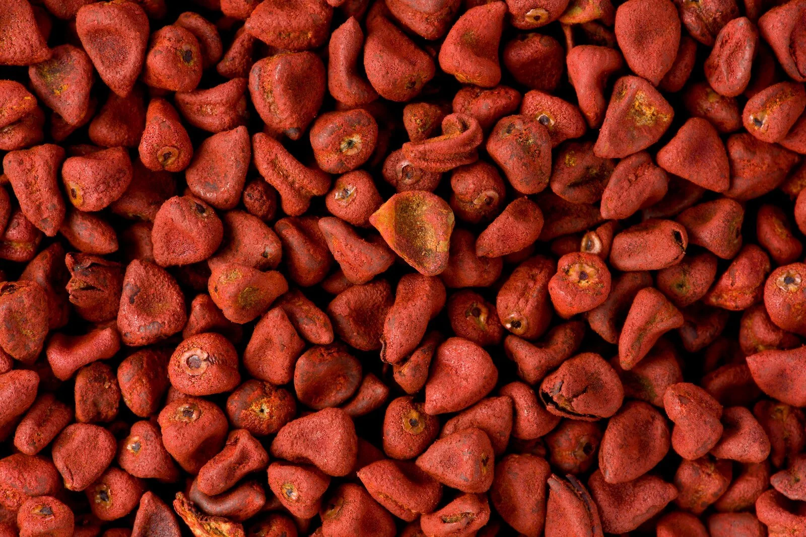 Annatto Seeds